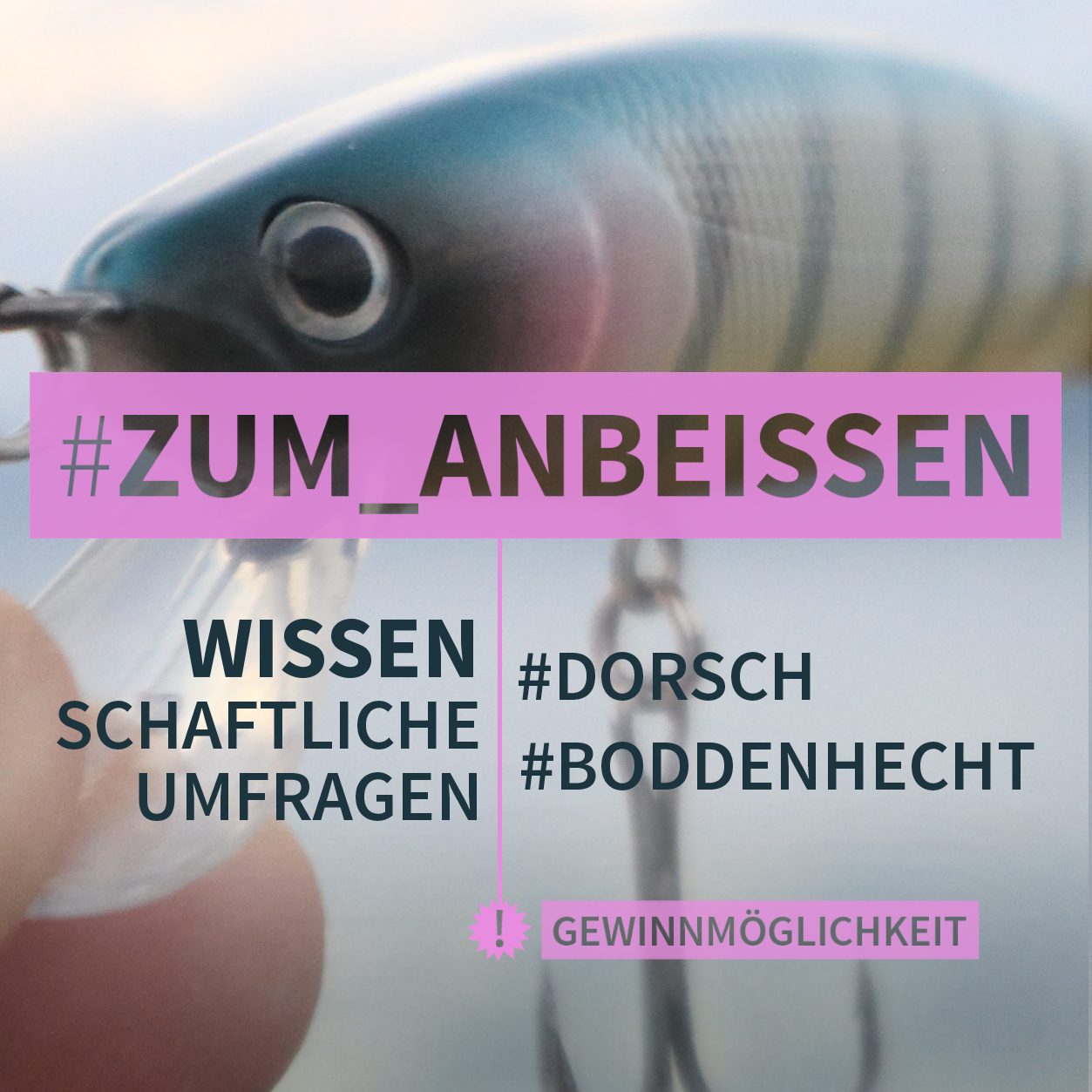 Umfrage zum Küsten- und Boddenangeln auf Dorsch und Hecht